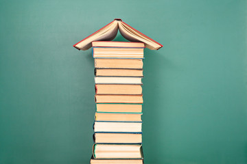 斗鱼可以和其他鱼一起养吗