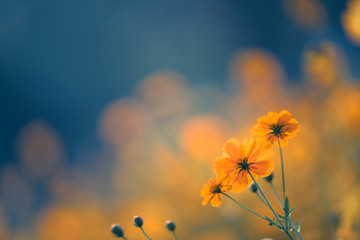 丽江市副高级教师公布名单