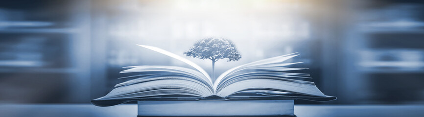 篮球控球后卫主要是练什么？