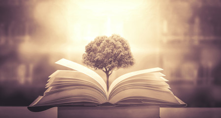 梦见湖南菩萨显灵