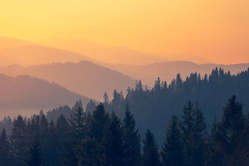 红旗渠机场航班有哪些