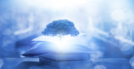 减光镜和偏振镜有什么区别？