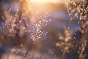 从承德广场打车到哈尔滨汽轮机厂需要多少钱？