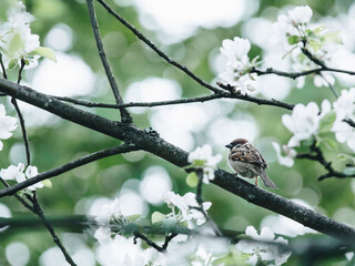 高三物理50分如何提高