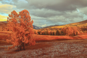 东厂和西厂的区别 明朝东厂介绍
