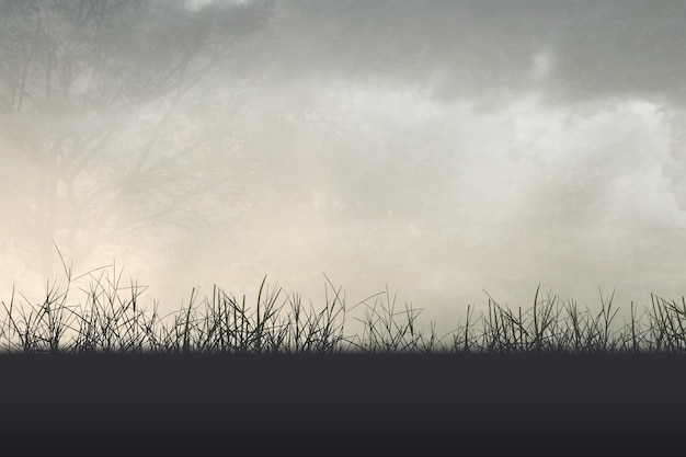 深圳有哪些好的中医院