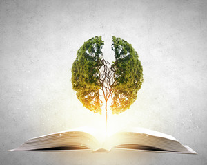 海贼王动漫路飞分别在那集用过霸气