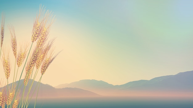 斗鱼可以和其他鱼一起养吗