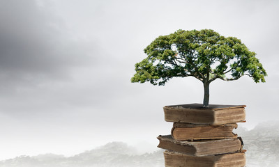 斗鱼可以和其他鱼一起养吗