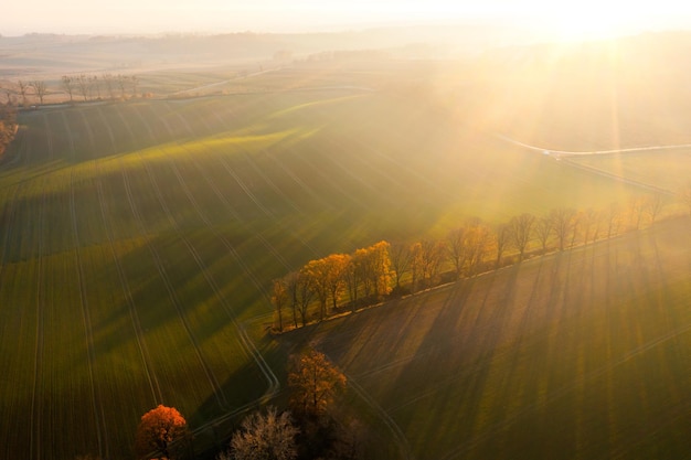 加拿大留学申请的语言要求是什么